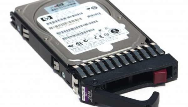 EG0300FCSPH (U300/10K/64Mb) DP 6G 2.5 SAS 300Gb