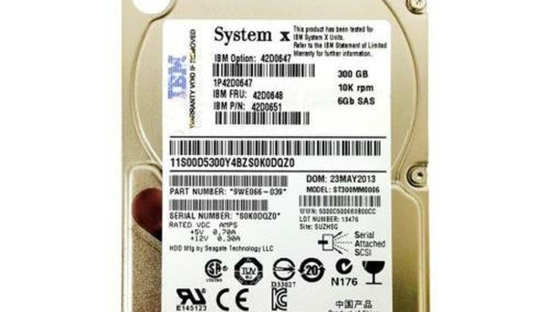 42D0651 6Gb 2.5 SAS 300GB 10K
