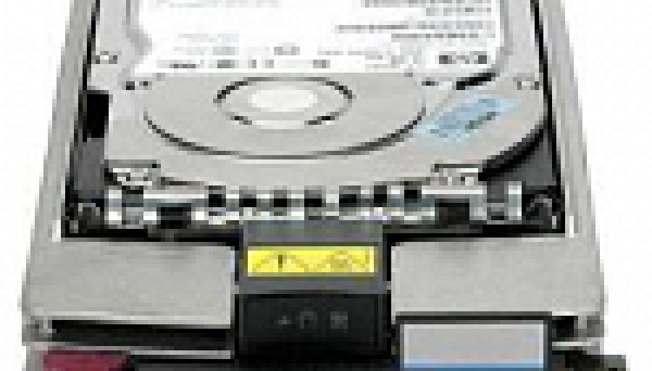 AP732B M6412 (U4096/10K/40pin) DP  EVA 4400/6400/8400 and FC 600Gb