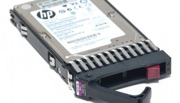 EH0300FCBVC SAS DP 6G 2,5