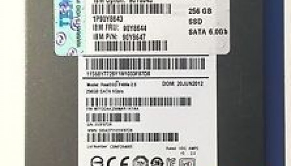 90Y8644 2.5 256GB SATA