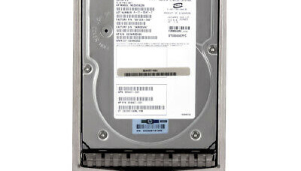 359667-001 (10K/8Mb/U2048/40pin) FATA 250Gb