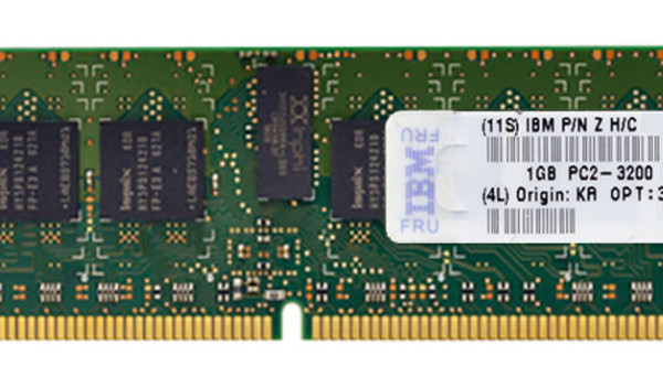 73P2866 Kit (2x1GB) ECC DDR2 Chipkill SDRAM RDIMM 2GB PC2-3200